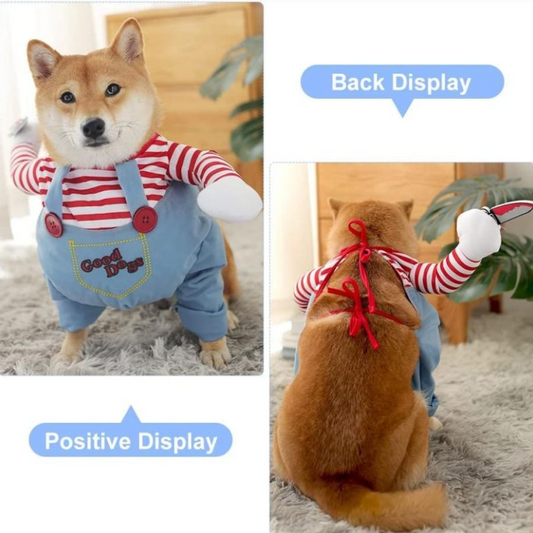 Pets Festive 3-Piece Costume