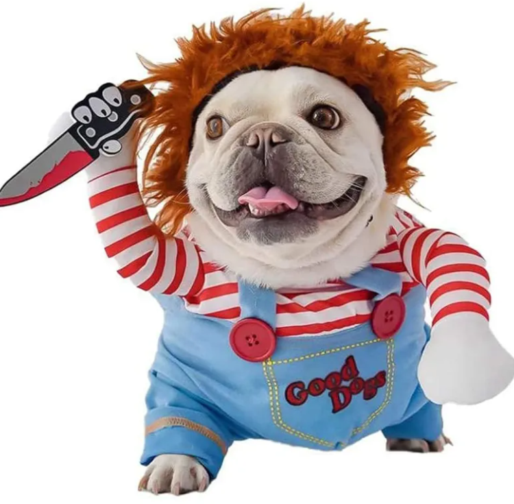 Pets Festive 3-Piece Costume